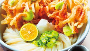 旬の味覚満載の春メニュー！！