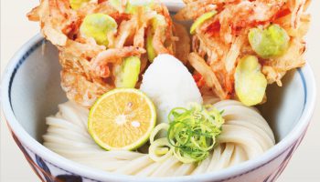 🌸 春爛漫フェア